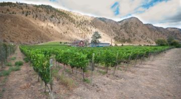 Clos Du Soleil