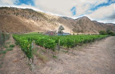 Clos Du Soleil
