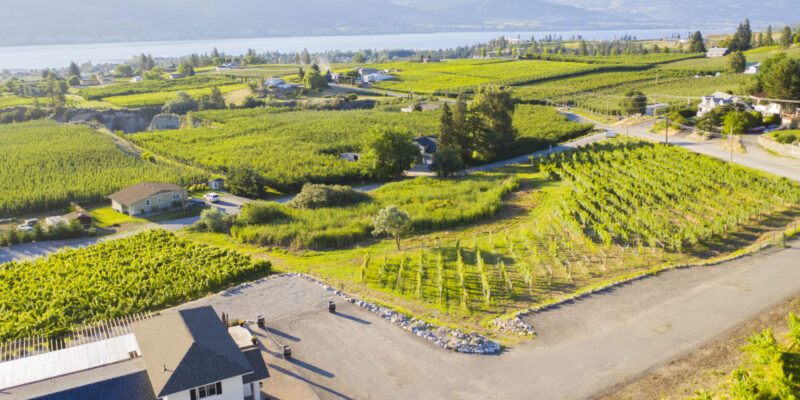 Lunessence Winery
