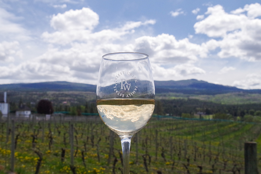 IMGP2971lr Wine Tour Hub White wine at Priest Creek Winery