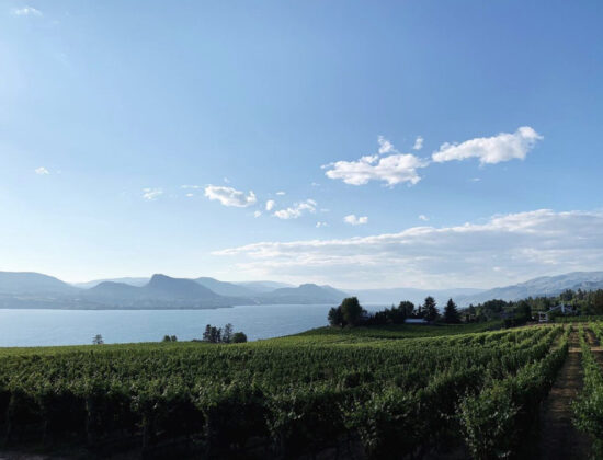 Moraine Estate Winery