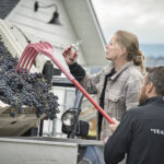wine production at Kaeden winery