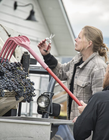 Lakeboat Vineyard and Winery