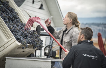 wine production at Kaeden winery