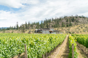 tasting room and art gallery in okanagan falls