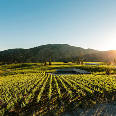 Liquidity Wines