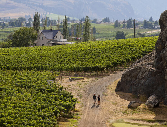 Corcelettes Estate Winery