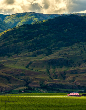 Red Barn Winery at Jagged Rock