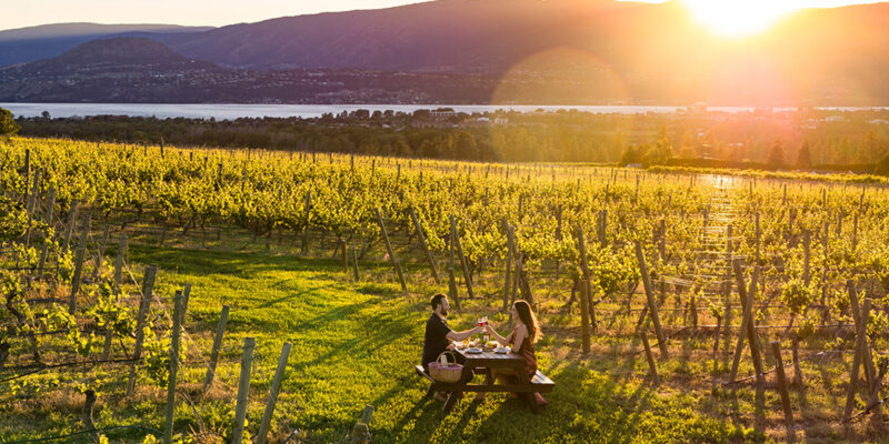 The View Winery