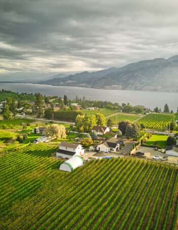 Lakeboat Vineyard and Winery
