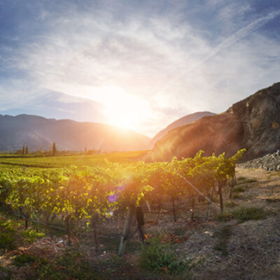 Corcelettes Estate Winery