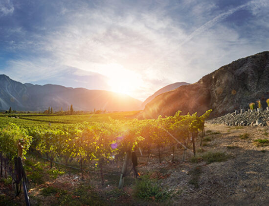 Corcelettes Estate Winery