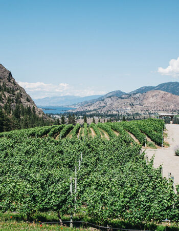See Ya Later Ranch Winery