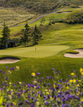 Black Mountain Golf Club