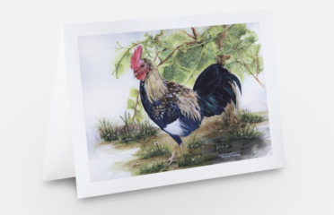 Vineyard Rooster Art Card