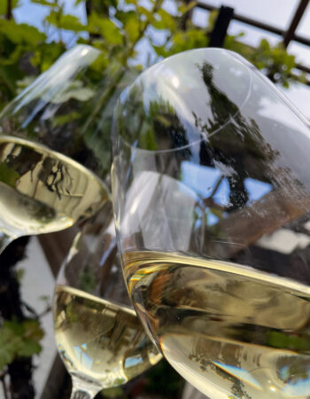 The Official British Columbia Wine Tour Handbook