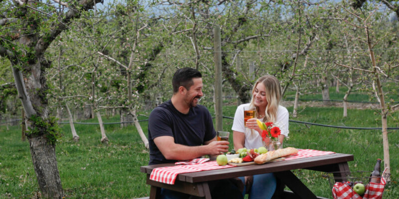 Wards Cider