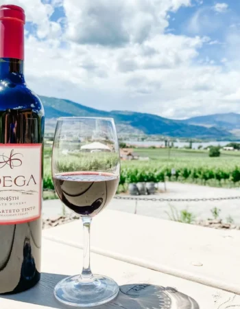 Adega on 45th Estate Winery