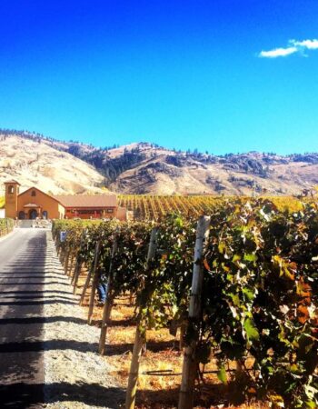 Adega on 45th Estate Winery