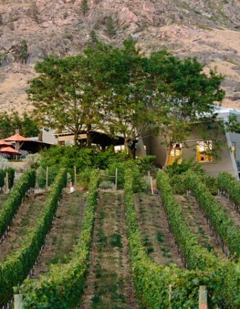 NK’MIP Cellars