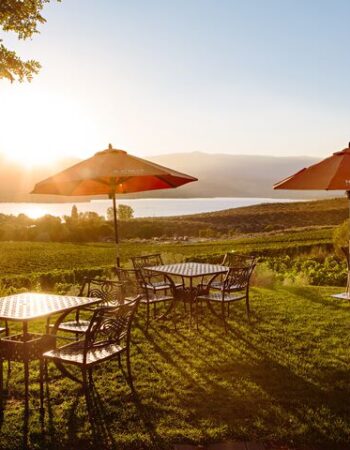 NK’MIP Cellars