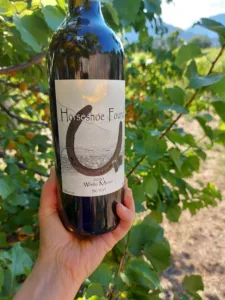 horseshoe found wine bottle