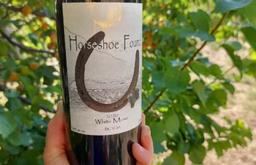 Horseshoe Found Winery