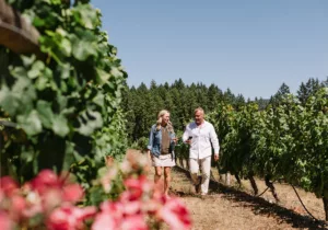tourism cowichan vineyard tour