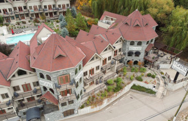 The Castle at Swan Lake Hotel