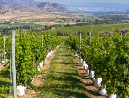 Oliver Tourism Associataion