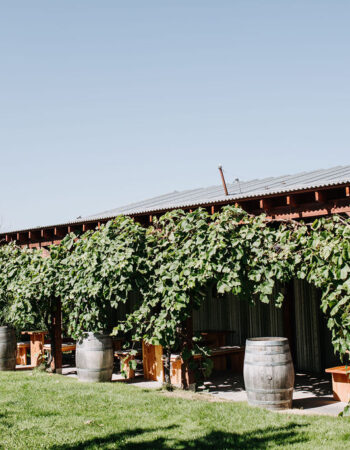 Stoneboat Vineyards