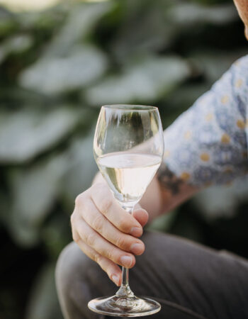 Stoneboat Vineyards