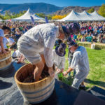 grape stomp - festival of the grape
