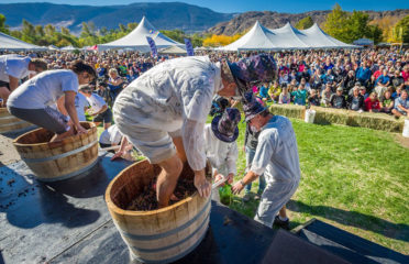 grape stomp - festival of the grape