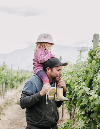 Stoneboat Vineyards