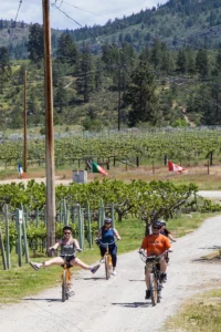 cycling through Oliver Osoyoos Wine Country