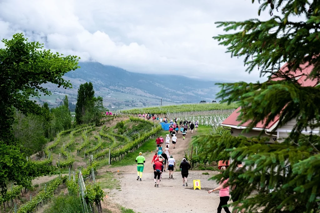 half corked marathon