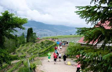 Oliver Osoyoos Wine Country