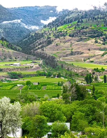 Oliver Osoyoos Wine Country