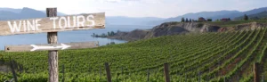 BC wine tours, Okanagan, Similkameen, Shuswap, Kamloops, Kootenays, Fraser Valley and Lower Mainland, Vancouver Island, Gulf Islands, Lillooet