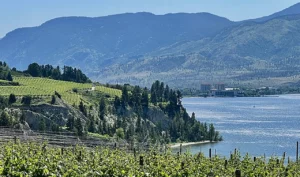 Naramata Bench Lakeview from Little Engine Winery
