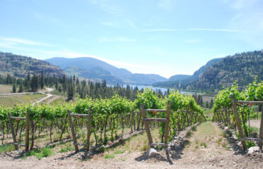 Okanagan falls winery