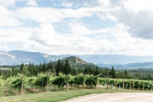 Visit the Shuswap wineries