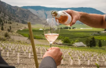 Visit the Similkameen Valley wineries
