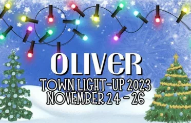 Oliver Town Light-Up