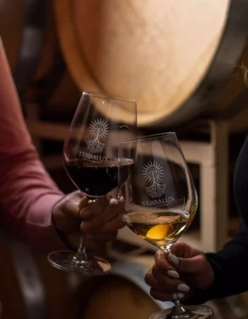 Terralux Estate Winery