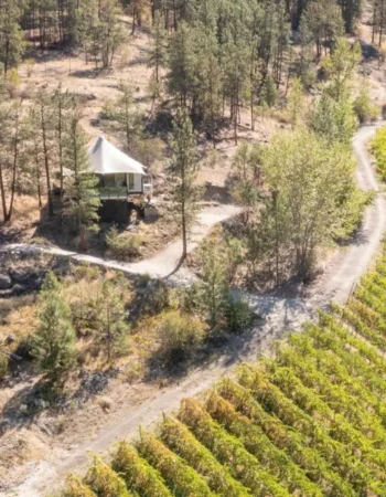 Nighthawk Vineyards