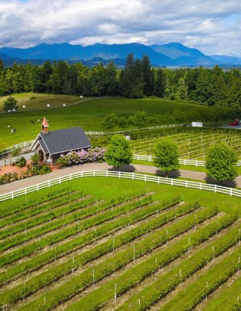 Seaside Pearl Farmgate Winery