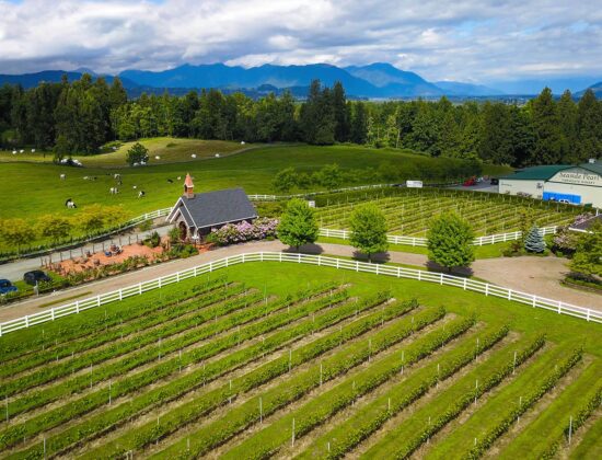 Seaside Pearl Farmgate Winery