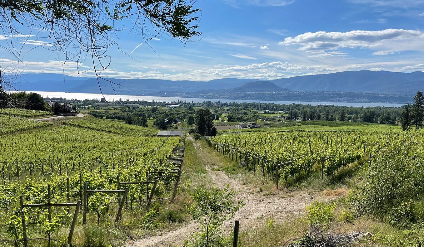 Blog Posts - Wine Tour Hub